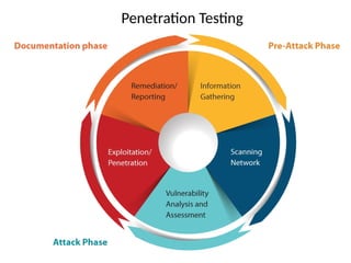 Penetration Testing
 
