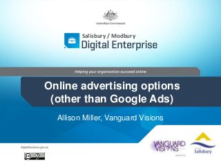 Salisbury / Modbury 
Online advertising options 
(other than Google Ads) 
Allison Miller, Vanguard Visions 
 