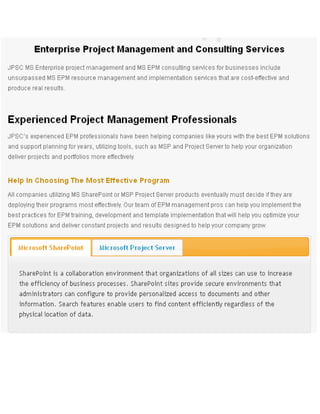 Enterprise project management and consulting services