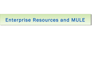 Enterprise Resources and MULEEnterprise Resources and MULE
 