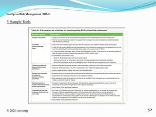 50
5. Sample Tools
Enterprise Risk Management (ERM)
© 2020 coso.org
 