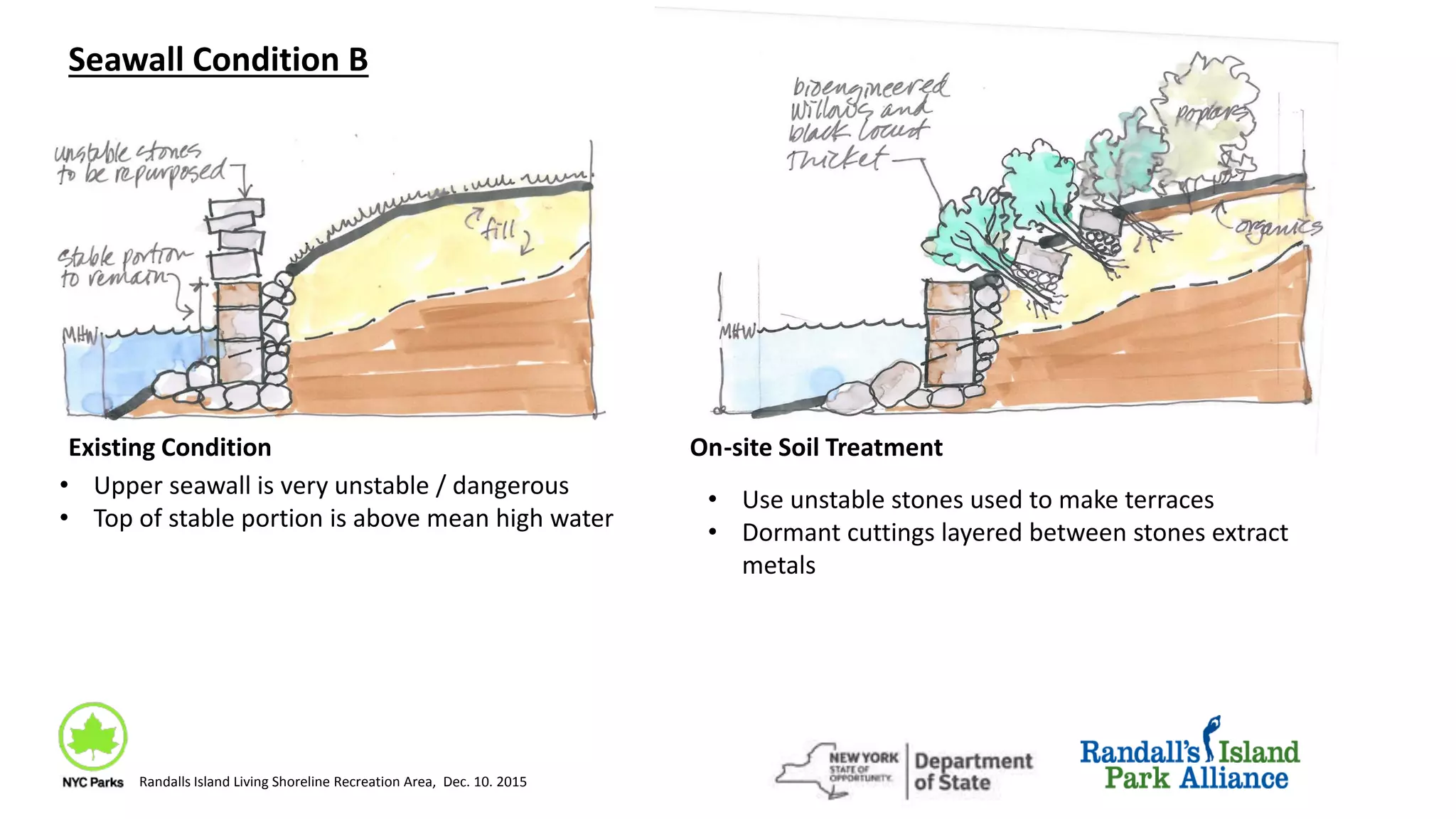 Seawall Condition B
Existing Condition On-site Soil Treatment
• Upper seawall is very unstable / dangerous
• Top of stable portion is above mean high water
• Use unstable stones used to make terraces
• Dormant cuttings layered between stones extract
metals
Randalls Island Living Shoreline Recreation Area, Dec. 10. 2015
 
