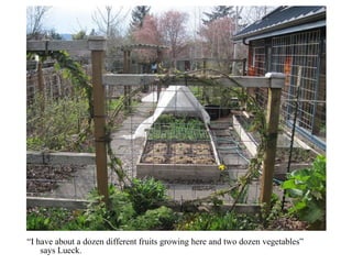 “ I have about a dozen different fruits growing here and two dozen vegetables” says Lueck. 