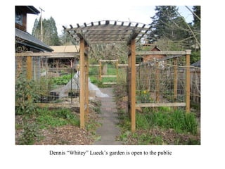 Dennis “Whitey” Lueck’s garden is open to the public 