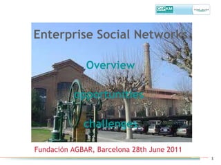 Enterprise Social Networks Overview opportunities  challenges Fundaci ó n AGBAR, Barcelona 28th June 2011 