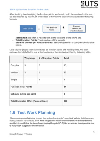 Enterprise software testing | PDF