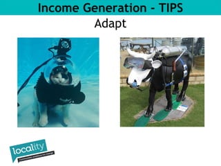 Income Generation - TIPS 
Adapt 
 