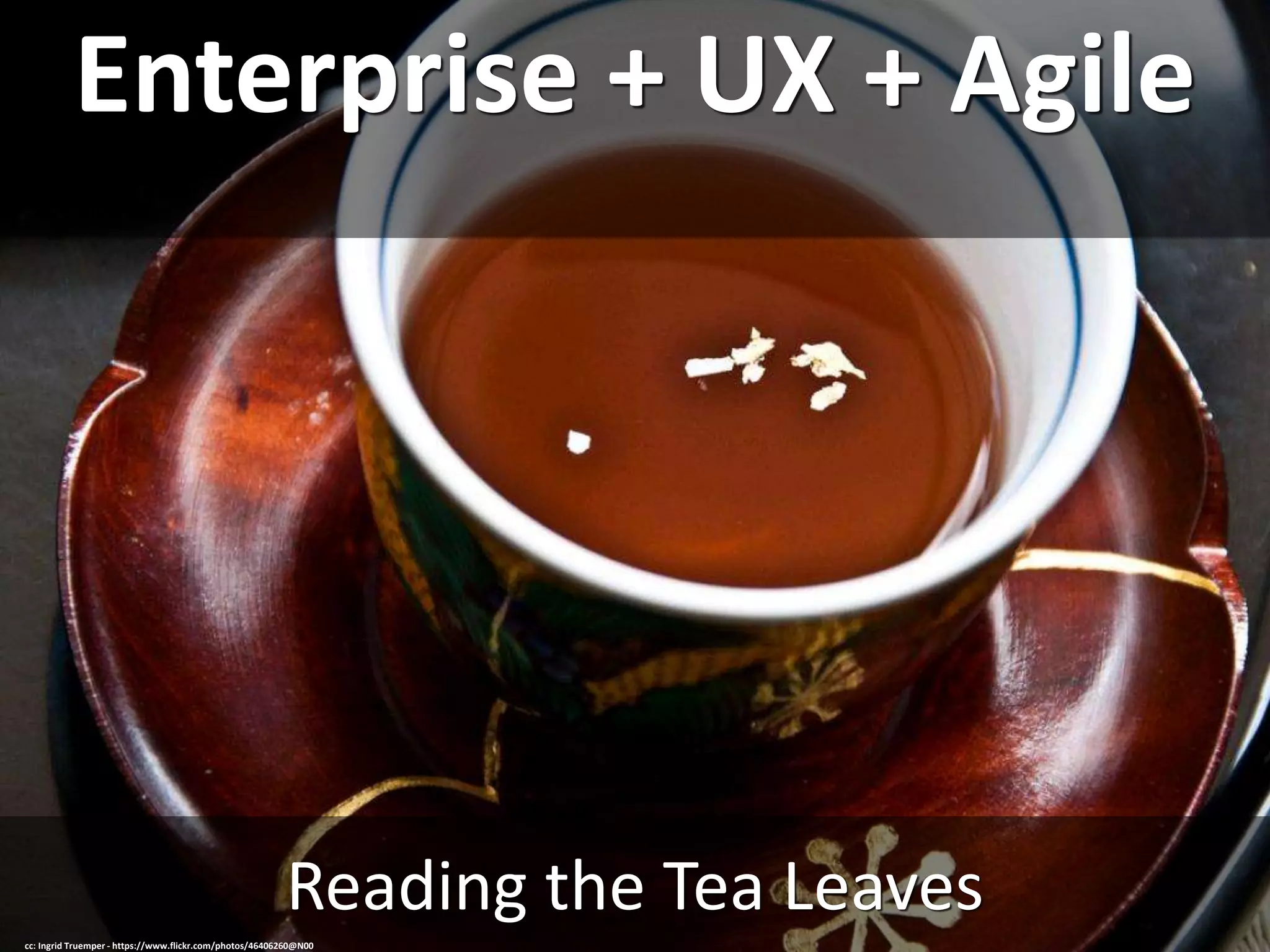 Enterprise + UX + Agile
Reading the Tea Leaves
cc: Ingrid Truemper - https://www.flickr.com/photos/46406260@N00
 