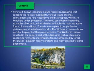 Geopark

• Very well- known inanimate nature reserve is Kadzielnia that
  contains the Rocks of Geologists, various fossils of corals,
  cephalopods and rare Placoderms and brachiopods, which are
  kept here under protection. There you can observe interesting
  examples of tectonic, mineralization and Poland's most attractive
  forms of mineral karst. There is also a splendid amphitheatre
  picturesquely situated amidst rocks. The Ślichowice reserve shows
  peculiar fragment of Hercynian tectonics. The Wietrznia reserve
  situated in the eastern part of the Kadzielnia features limestone
  containing remnants of prehistoric fauna. Surrounded by forest
  the Biesak - Białogon reserve protects also many amazing tectonic
  phenomena.
 