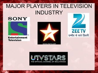 MAJOR PLAYERS IN TELEVISION 
         INDUSTRY
 