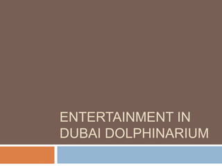 ENTERTAINMENT IN
DUBAI DOLPHINARIUM
 