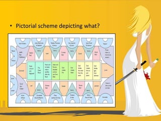 • Pictorial scheme depicting what?
 