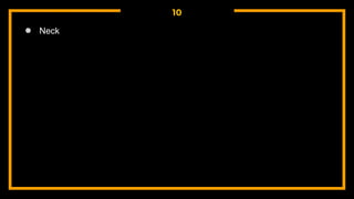 10
● Neck
 