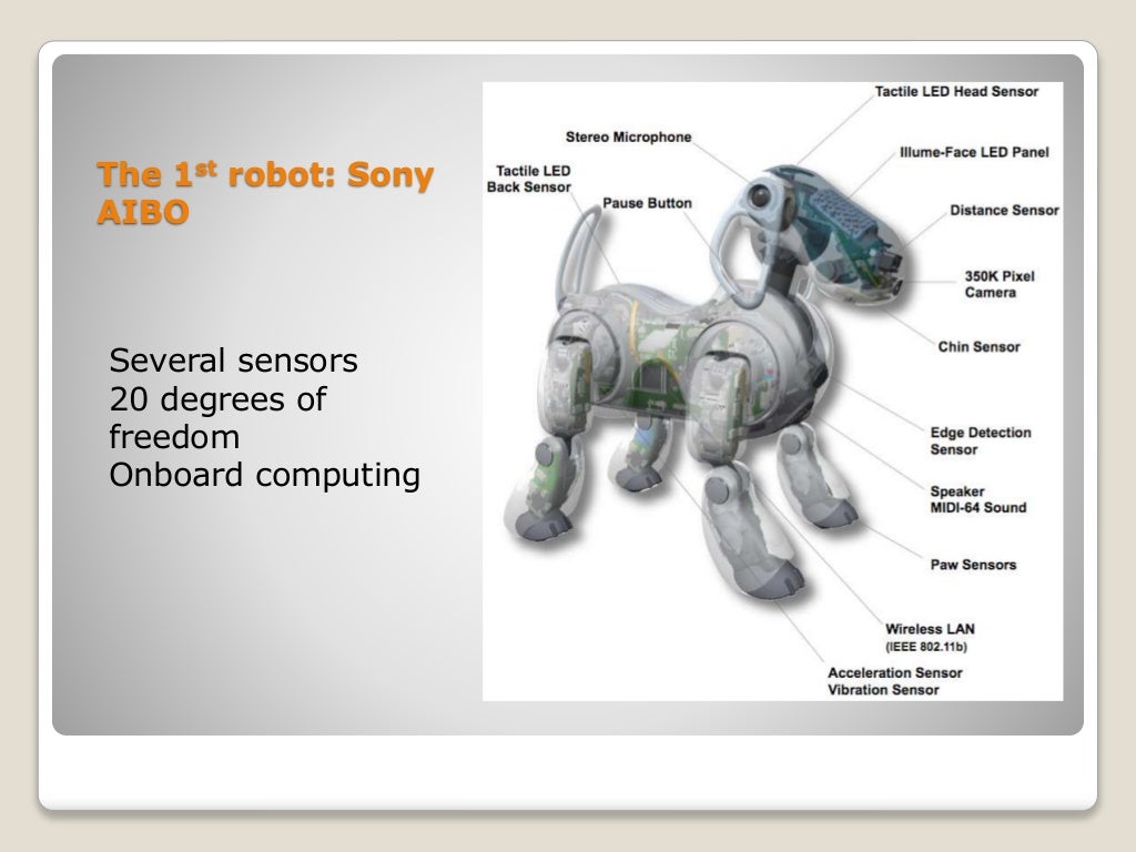 Entertainment robots