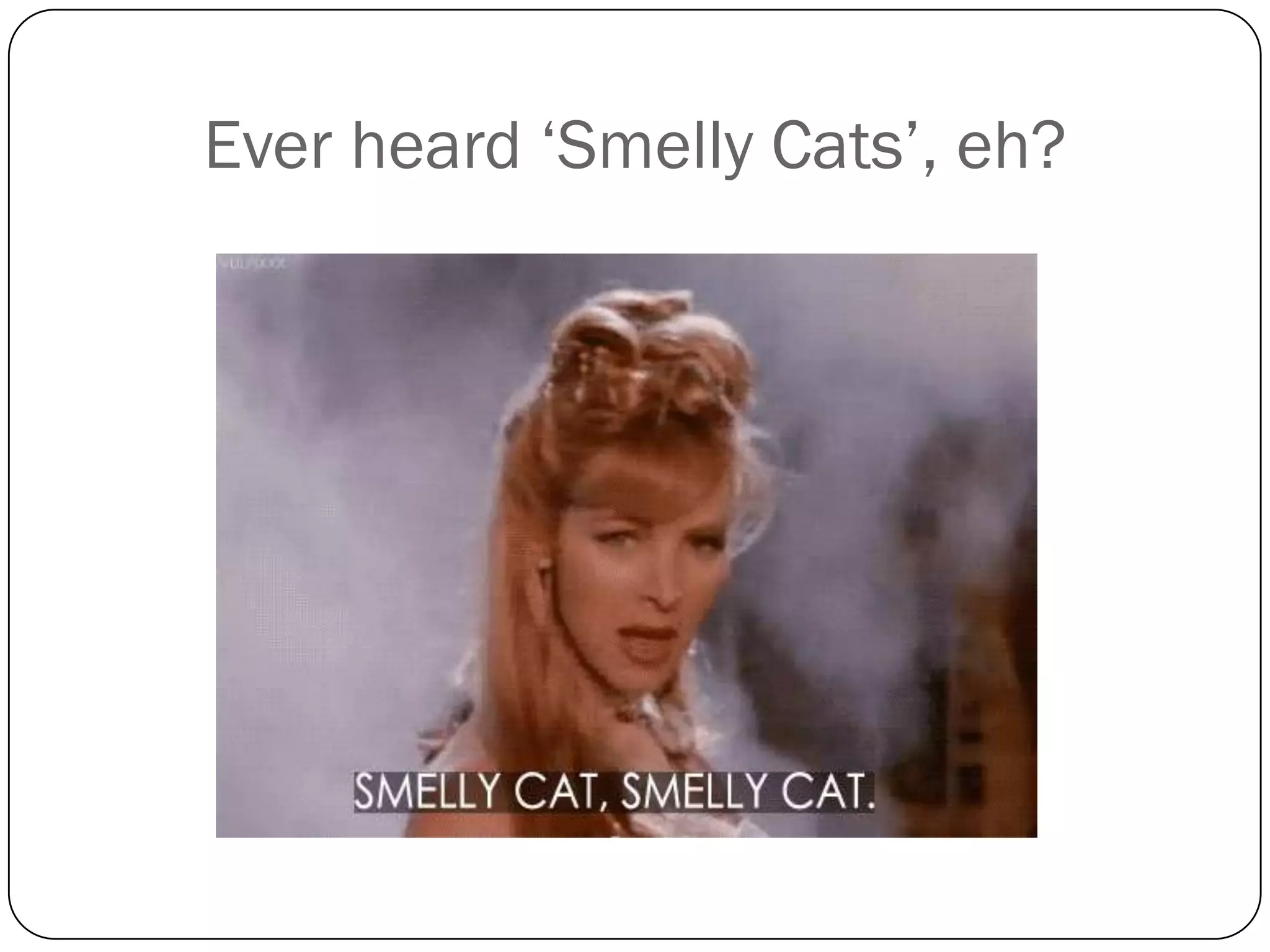 Ever heard ‘Smelly Cats’, eh?
 