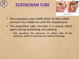 • The eustachian tube (1MM WIDE 35 MM LONG)
connects the middle ear with the nasopharynx
• The eustachian tube normally it is closed, which
opens during swallowing and yawning
– This equalizes the pressure on either side of the
eardrum, which is necessary for optimal hearing.
 