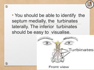 • You should be able to identify the
septum medially, the turbinates
laterally. The inferior turbinates
should be easy to visualise.
 