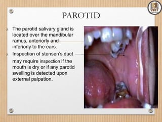 PAROTID
 The parotid salivary gland is
located over the mandibular
ramus, anteriorly and
inferiorly to the ears.
 Inspection of stensen’s duct
may require inspection if the
mouth is dry or if any parotid
swelling is detected upon
external palpation.
 