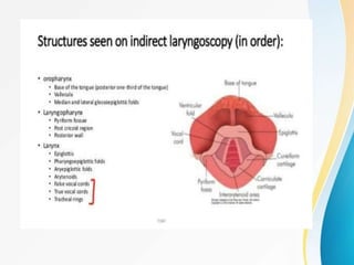 ent examination.power point presentation