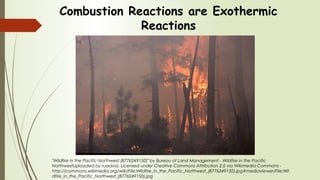 Combustion Reactions are Exothermic
Reactions
"Wildfire in the Pacific Northwest (8776249150)" by Bureau of Land Management - Wildfire in the Pacific
NorthwestUploaded by russavia. Licensed under Creative Commons Attribution 2.0 via Wikimedia Commons -
http://commons.wikimedia.org/wiki/File:Wildfire_in_the_Pacific_Northwest_(8776249150).jpg#mediaviewer/File:Wil
dfire_in_the_Pacific_Northwest_(8776249150).jpg
 