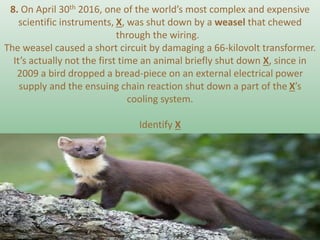 8. On April 30th 2016, one of the world’s most complex and expensive
scientific instruments, X, was shut down by a weasel that chewed
through the wiring.
The weasel caused a short circuit by damaging a 66-kilovolt transformer.
It’s actually not the first time an animal briefly shut down X, since in
2009 a bird dropped a bread-piece on an external electrical power
supply and the ensuing chain reaction shut down a part of the X’s
cooling system.
Identify X
 