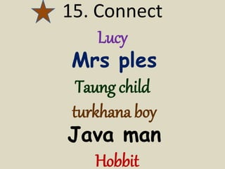 15. Connect
Lucy
Mrs ples
Taung child
turkhana boy
Java man
Hobbit
 