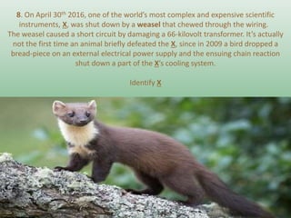 8. On April 30th 2016, one of the world’s most complex and expensive scientific
instruments, X, was shut down by a weasel that chewed through the wiring.
The weasel caused a short circuit by damaging a 66-kilovolt transformer. It’s actually
not the first time an animal briefly defeated the X, since in 2009 a bird dropped a
bread-piece on an external electrical power supply and the ensuing chain reaction
shut down a part of the X’s cooling system.
Identify X
 