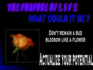 THE PURPOSE OF L I F E WHAT COULD IT BE ? Don't remain a bud bloosom like a flower Actualize your potential 