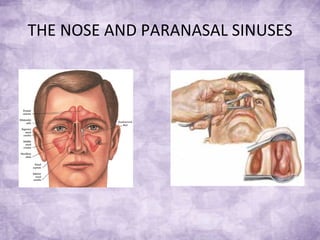 THE NOSE AND PARANASAL SINUSES 