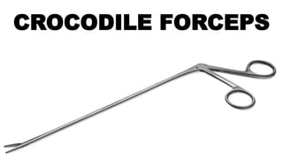 CROCODILE FORCEPS