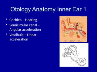 Ear Nose and throat Introduction with brief explanation | PPTX