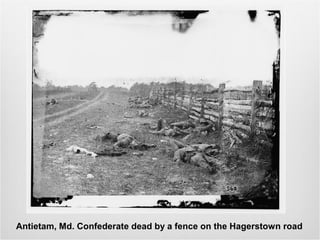 Antietam, Md. Confederate dead by a fence on the Hagerstown road
 