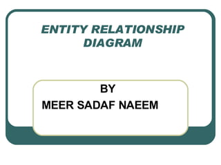 ENTITY RELATIONSHIP DIAGRAM BY MEER SADAF NAEEM  
