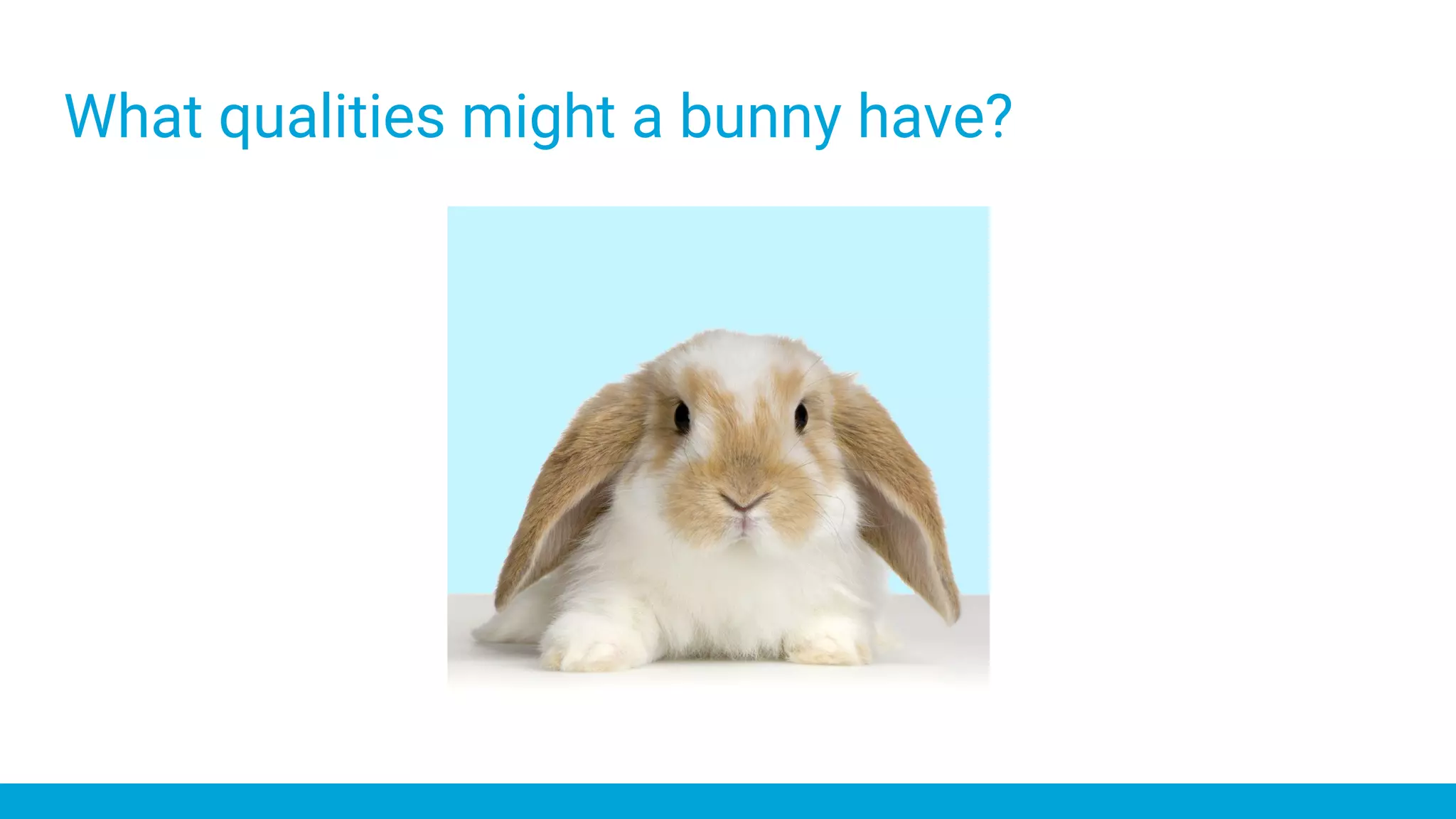 What qualities might a bunny have?
 