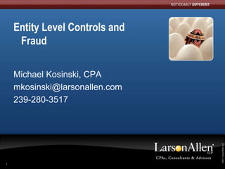 Entity Level Controls and
     Fraud

    Michael Kosinski, CPA
    mkosinski@larsonallen.com
    239-280-3517




                                 ©2011 LarsonAllen LLP
                                ©2011 LarsonAllen LLP
1
 