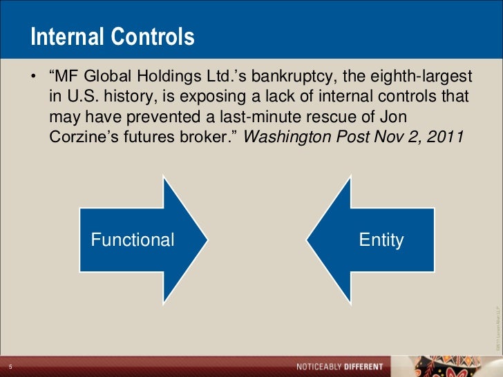 Entity Level Controls And