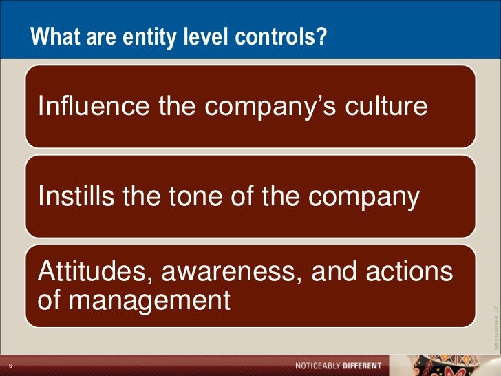 Entity Level Controls And