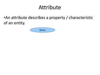 Attribute
•An attribute describes a property / characteristic
of an entity.
Name