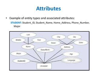Entity Attribute Graph Example Entity Relationship Model | PPTX