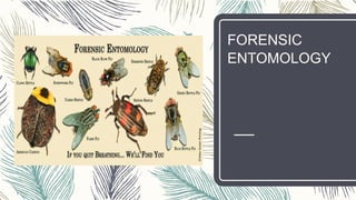 FORENSIC
ENTOMOLOGY
1
 