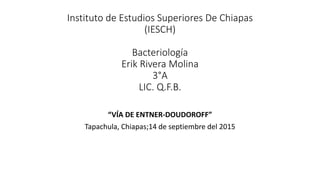 Instituto de Estudios Superiores De Chiapas
(IESCH)
Bacteriología
Erik Rivera Molina
3°A
LIC. Q.F.B.
“VÍA DE ENTNER-DOUDOROFF”
Tapachula, Chiapas;14 de septiembre del 2015
 