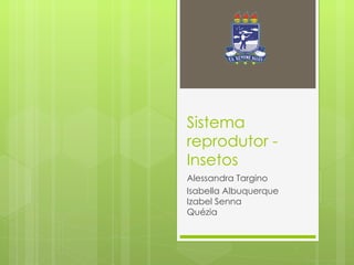 Sistema reprodutor - Insetos Alessandra Targino Isabella Albuquerque Izabel Senna Quézia 
