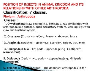 basic entomology with all the anatomy of an insect | PPTX