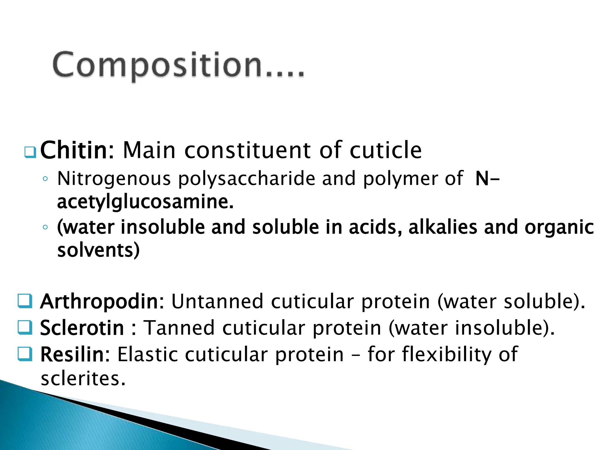 insect morphology and physiology of insect | PPTX