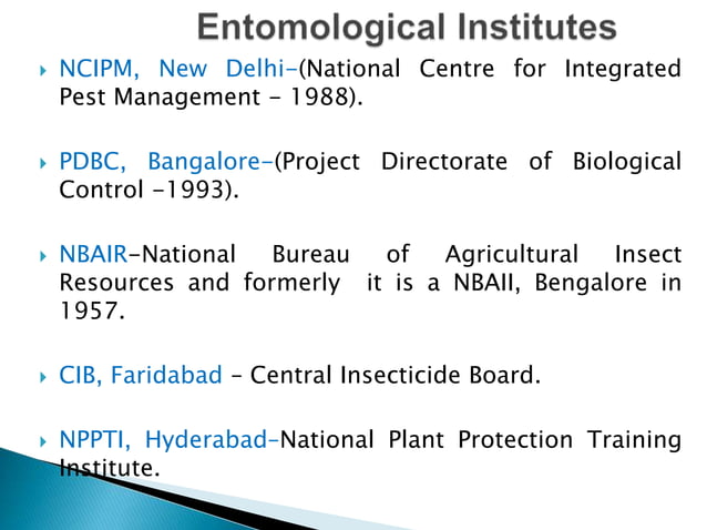 insect morphology and physiology of insect | PPTX | Beekeeping ...