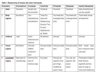 insect morphology and physiology of insect | PPTX