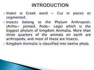 insect morphology and physiology of insect | PPTX