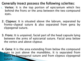 insect morphology and physiology of insect | PPTX