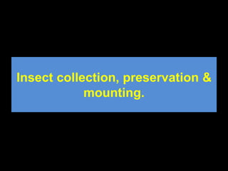 Entomology Laboratory at a glance (Slides 103) | PPTX