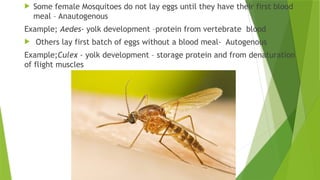 Insect physiology : processes and reviews | PPTX